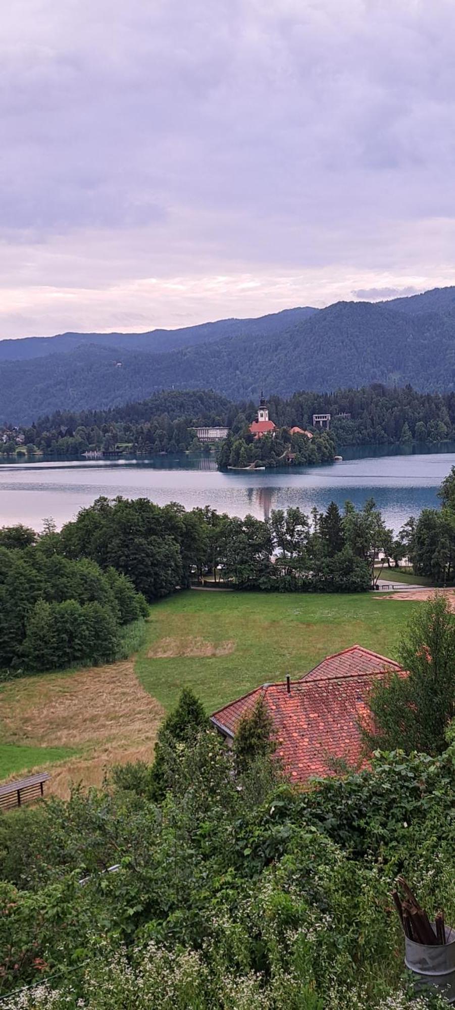 Apartma Bine Appartement Bled Buitenkant foto